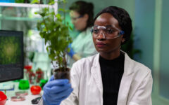 African american biochemist researcher holding genetically modified sapling