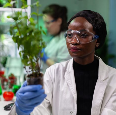 African american biochemist researcher holding genetically modified sapling analyzing gmo green plants during microbiology experiment. Chemist scientist working in biochemistry hospital laboratory